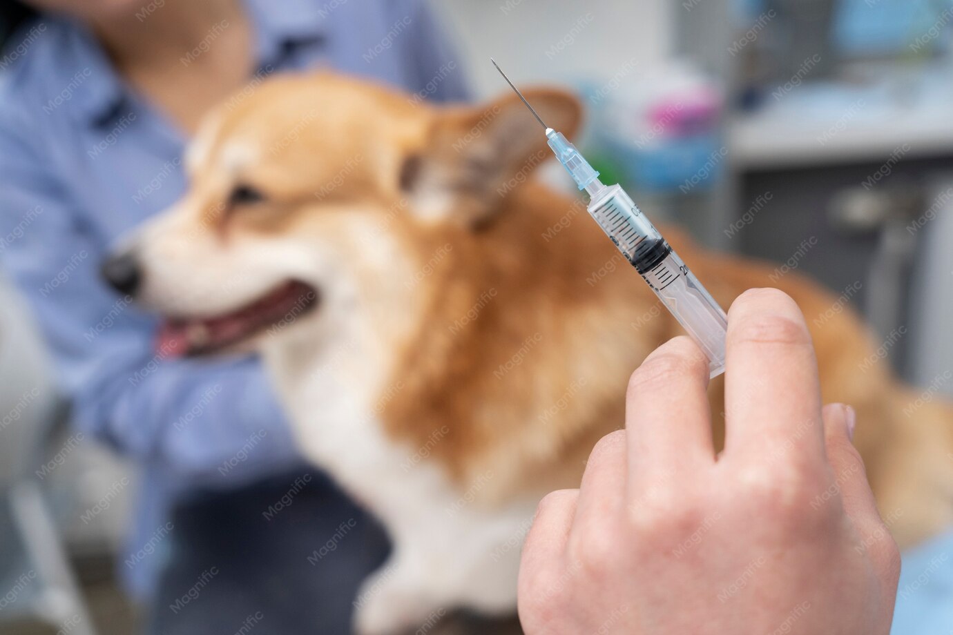 Yavru Kedi ve Köpeklerde Aşı Takvimi: İlk Yıl Rehberi